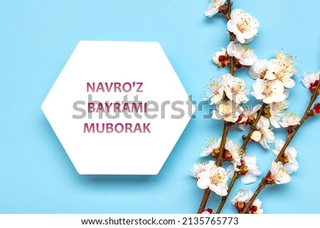Sprigs of apricot tree with flowers on blue background Navro'z bayrami muborak text in uzbek language Happy Navruz holiday Greeting card oncept of spring came Top view Flat lay Hello march, april, may