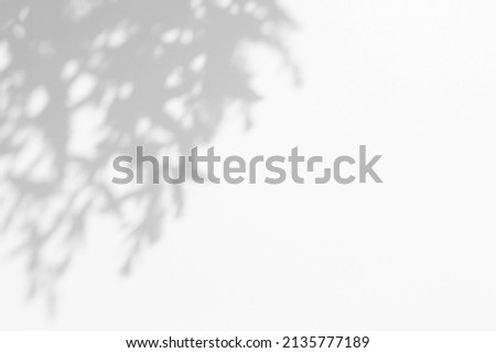 Abstract shadows of a plant with leaves. Natural blurred background, wallpaper 