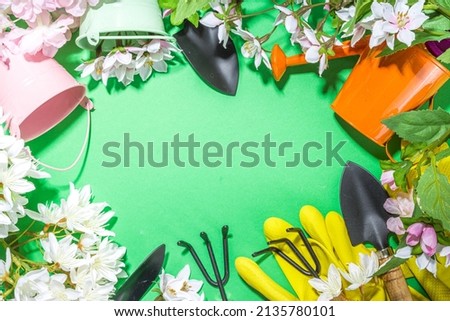 Spring gardening flatlay with gardening tools and herbs, seedlings, garden mittens, spring flowering tree branches top view copy space