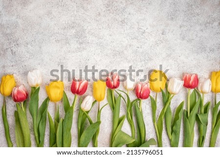 Flower composition. Border with colorful spring tulips flowers on a concrete background. Valentines day, mothers day, womens day concept. Space for text
