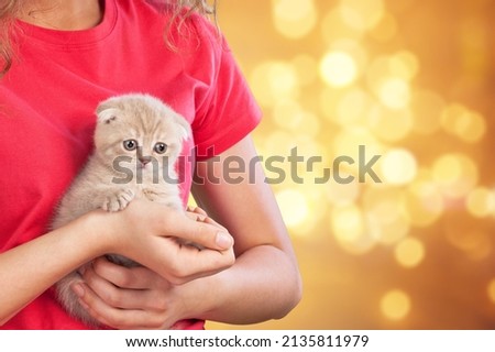 Beautiful young woman with little cat on color background