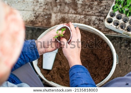 First sign of spring is when people start preparing to grow new plants. The picture shows a woman making seedlings with her bare hands. SSTKHome