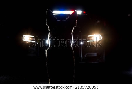 A police dog sitting in front of a police car. Royalty-Free Stock Photo #2135920063