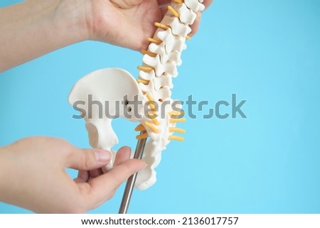 Intervertebral hernia of the cervical spine, rupture of the fibrous ring. Osteochondrosis, copy space. Human column plastic model complete pan at physiotherapy clinic