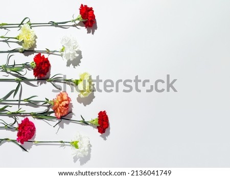 White, yellow, pink and red carnation flowers laid horizontally on white background.