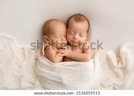 Tiny newborn twins boys in white cocoons on a white background. A newborn twin sleeps next to his brother. Newborn two twins boys hugging each other.Professional studio photography Royalty-Free Stock Photo #2136059513