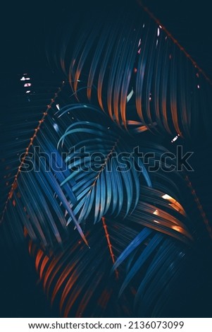 Green palm leaf pattern texture abstract background. Copy space for graphic design tropical summer and nature environment concept. Vintage tone filter effect color style.