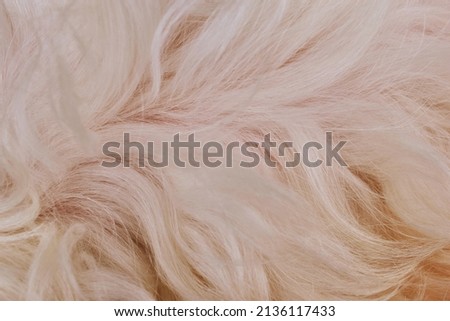 beige fur texture close up abstract