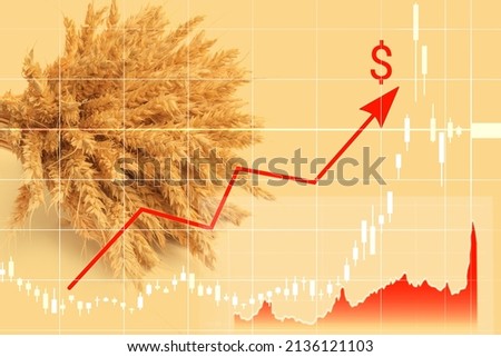 Increase in price of wheat seedson graph and an ascending arrow with dollar icon on background of wheat field. Concept of crisis, shortage of grain crops. Exchange quotes. Harvesting concept Royalty-Free Stock Photo #2136121103