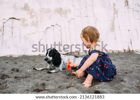 Little cute girl with Russian cocker spaniel playing on the beach by the sea