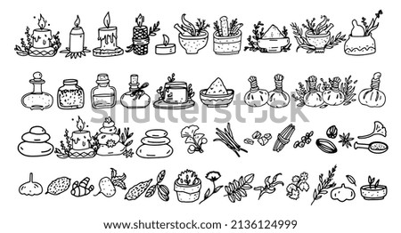 Ayurveda doodle outline icons set, Ayurvedic Folk Medicine Items, bottles, herbal, massage bag, mortar and pestle, candle, spa hot stones massage. Vector illustrations of ayurveda isolated on white Royalty-Free Stock Photo #2136124999