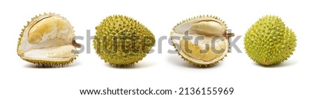Durian fruit in south east asia, the king of fruits on white background 