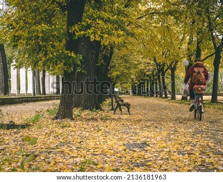 Ride a bike in fall. Women is riding a bicycle going home from shopping. Beautiful photo of a park with orange and yellow leaves with fall foliage on the ground. Lovely autumn landscape