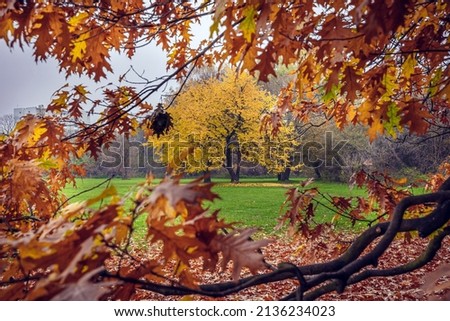 Autumnal scenery in Mokotow Field - large park in Warsaw, capital city of Poland
