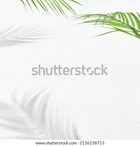 White background with palm leaf and shadow of palm leaf. Minimal abstract composition - concrete wall and hard shadow of the palm and monstera leaf. Elegant poster of natural elements and shadow