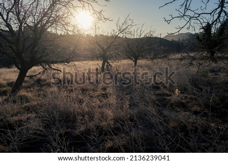 Fields in Matarranya. A region of the province of Teruel, Spain