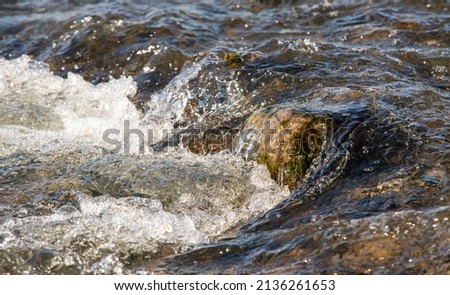 Water runs over the stones, early spring nature.