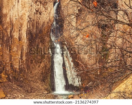 Bare branches of an autumn tree against the backdrop of a powerful waterfall flowing from massive steep rocks.