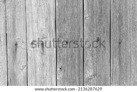 Old wooden fence texture and high detailed background photo with nails