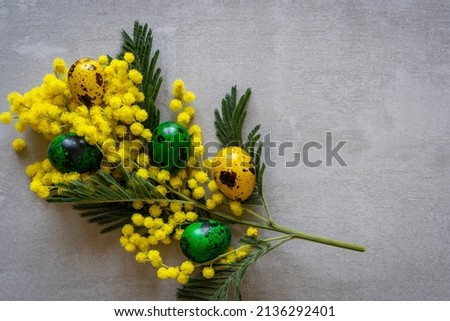 Easter spring tree mimosa twig with buds and small eggs on a grey stone background. Flat lay, close-up, copy space.