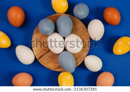 Lots of colored eggs for picnic outside. Easter eggs on a blue background. Blue and yellow chicken eggs 