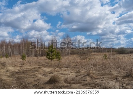 Spring is coming! The snow has just melted, exposing the waves of last year's dry grass, the forest is waking up from the winter cold. Beautiful pale blue sky with floating fluffy clouds. Russia, Ural Royalty-Free Stock Photo #2136376359