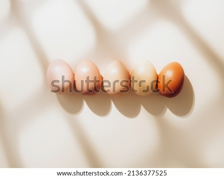 Colorful eggs are in row on beige background with shadows. Eggs are arranged by color from the lightest to the darkest . Color gradient. Trendy easter background