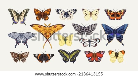 Realistic butterflies set. Flying insects, delicate moths species with multicolored wings collection. Vintage detailed drawings. Colored hand-drawn vector illustrations isolated on white background