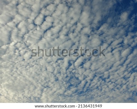 Altocumulus is a cloud that is flat like a cotton ball. Altokumulus comes from the Latin altus which means high, and cumulus which means group. Altokumulus awan. 