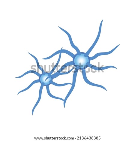 Isometric neurological neurology composition with isolated images of two polar neurocytes on blank background vector illustration