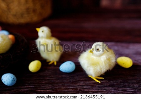 Easter background with yellow chicks and eggs. Easter holidays