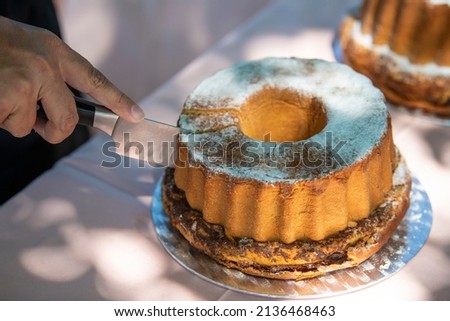 Chef cutting beautiful tasty Marble Cake with powdered sugar. Cake Slices. Close-up.