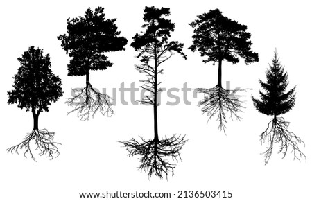 Set of silhouette trees with roots. Beautiful fir, pine, deciduous trees. Vector illustration