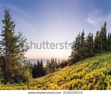 Beautiful sunrise in mountains. Bright landscape. Beauty of nature, background concept
