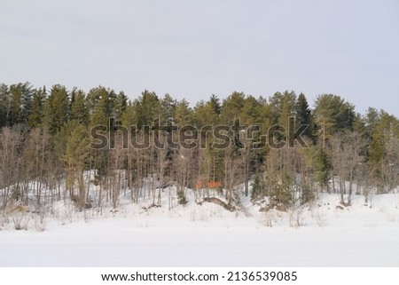 Snow-covered spaces against the background of the forest. Winter and cold, snow and sky