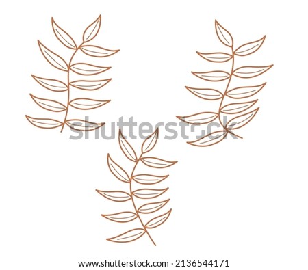 Floral decoration branch leaf plant line, Design element for cards, invitations, posters, posters, backgrounds, Vector hand drawn set of various silhouette branches with leaves in outline