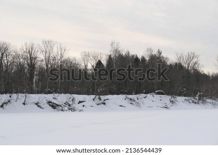 Snow-covered spaces against the background of the forest. Winter, snow and cold, sky and trees