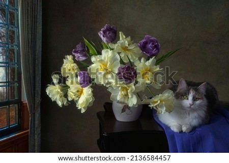 Bouquet of tulips and pretty tricolor kitty