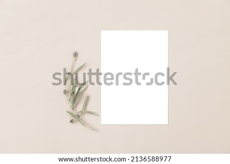 Wedding invitation or greeting card mockup. Blank white card 5x7 with a flower on a neutral background.