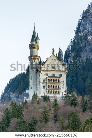 Neuschwanstein castle in the Bavaria Alps - Tirol, Germany