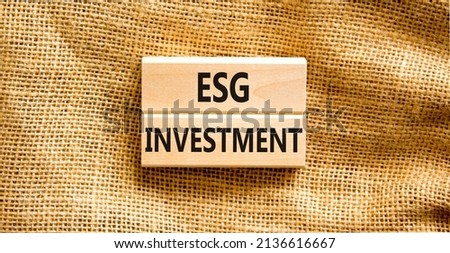 ESG environmental social governance investment symbol. Concept words ESG investment on blocks on a beautiful canvas table canvas background. Business, ESG investment concept. Copy space.