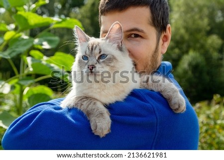 Siberian cat breed Neva Masquerade in the hands of the owner