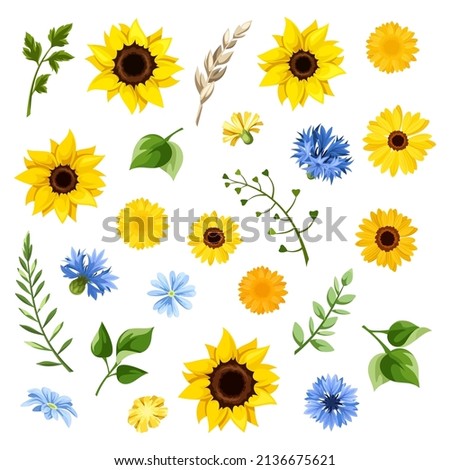 Set of blue and yellow sunflowers, dandelion flowers, cornflowers, gerbera flowers, and green leaves isolated on a white background