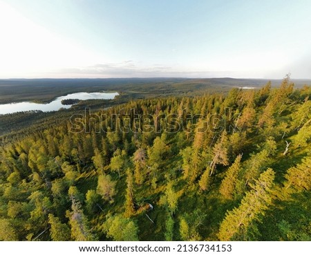 aerial shot of forested hill in northern lapland
