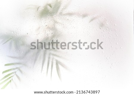 blurred silhouette palm leaves shadow effect. defocus picture with fog effect of palm leaves silhouettes behind. out of focus, vertical shot.