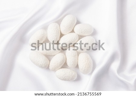 The silkworm cocoon on white silk fabric. Royalty-Free Stock Photo #2136755569