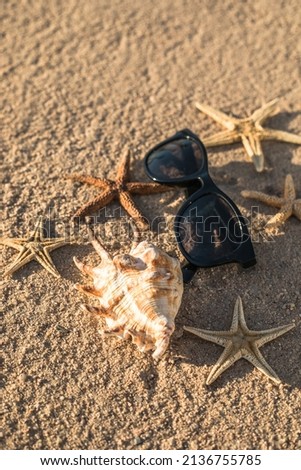summer beach background with shell, sea star, vacation and travel concept, Flat lay top view copy space