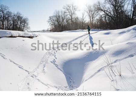 Skiing in the forest. Nature near the house, rest in the city park, an active lifestyle, walk in the forest to breathe fresh air. High quality photo