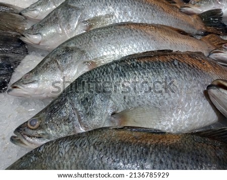 Fresh sea fishes on ice, close-up.