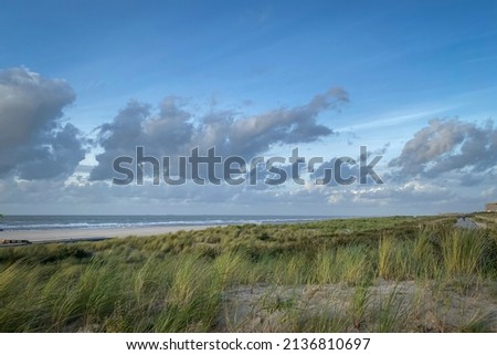 Scenic view of North Sea beach and dunes in Kijkduin, the Netherlands against cloudy sky